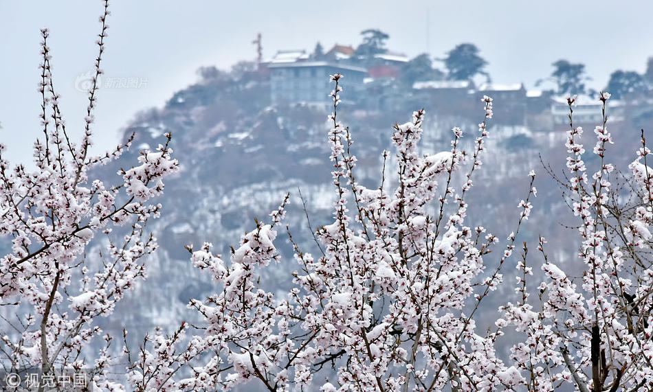 A famous director announced a sequel to their award-winning film will be released in 2025