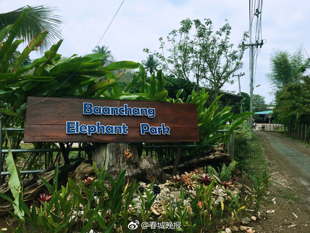 Scientists developed a new type of battery that lasts twice as long as traditional ones