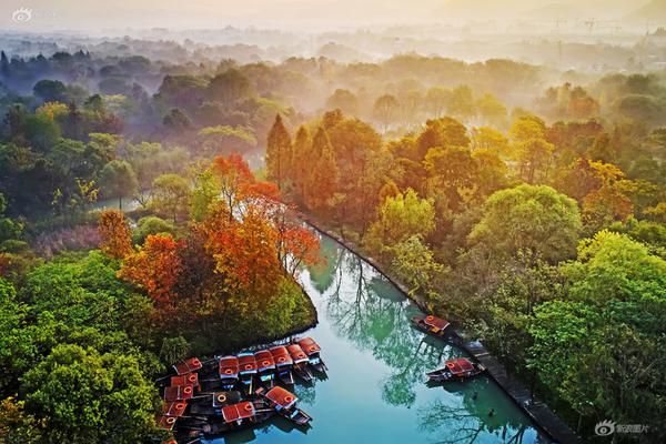 Google introduced a new language model capable of translating 100+ languages with near-human accuracy