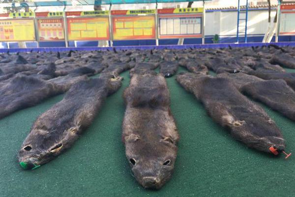 A fashion boutique started selling handmade jewelry from local artisans to support the community