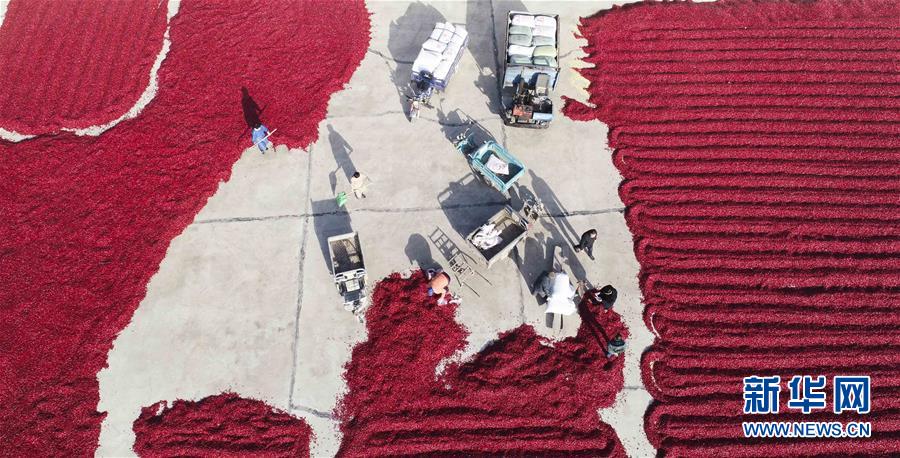 Local farmers' markets attracted more customers who prefer organic food