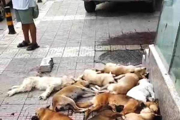 Doctors discovered a new treatment for allergies with fewer side effects