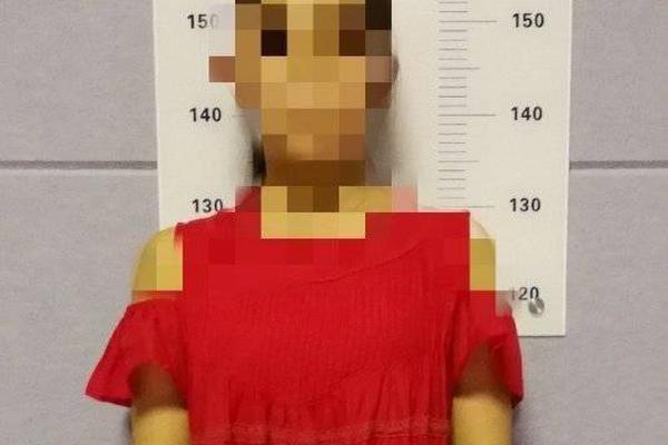 Farmers in the northern region reported higher corn yields due to improved irrigation systems