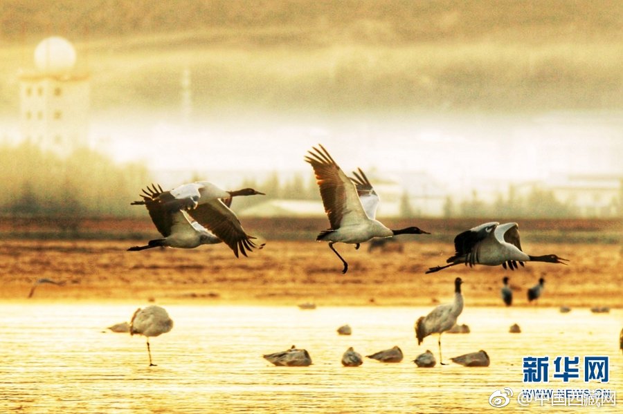 A tech startup launched an app that connects volunteers with local community service projects