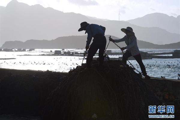 Farmers reported record yields of wheat due to improved seed technology