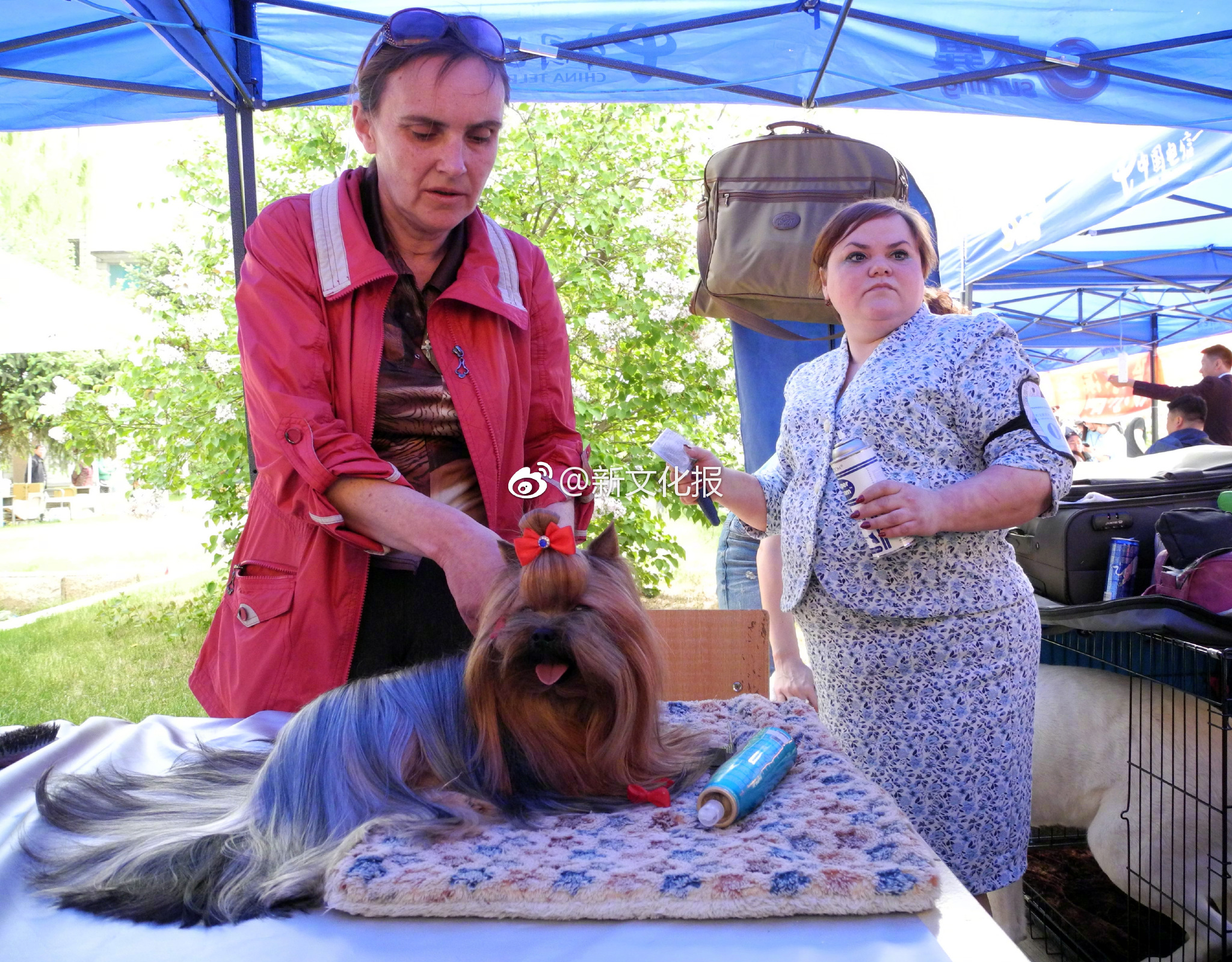 A music award ceremony was held last night with a rising star winning Best New Artist