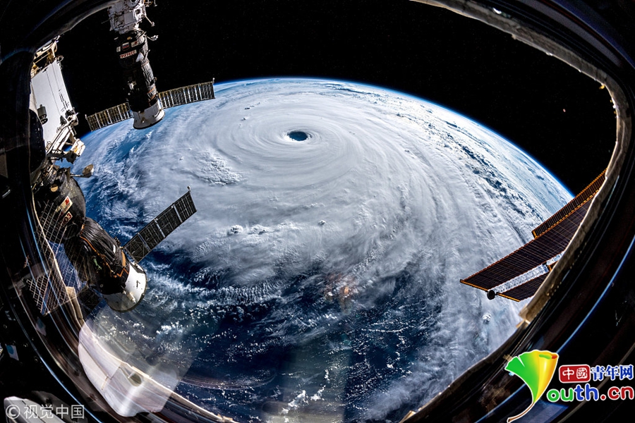 A pet store started selling organic pet food which quickly became its most popular product line