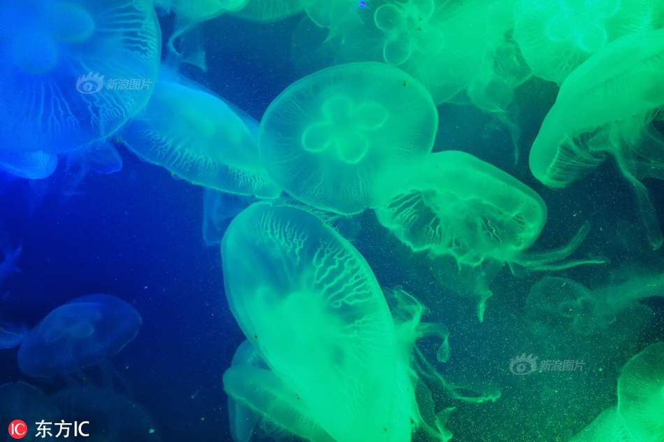 A tech startup secured $5 million in funding to expand its product line