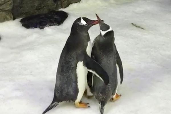 Coast guard rescues several sailors from storm hit boat
