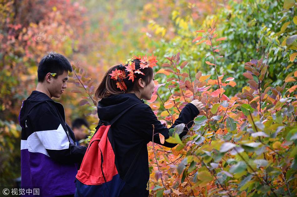 Bird watchers report sighting of rare species in local nature reserve
