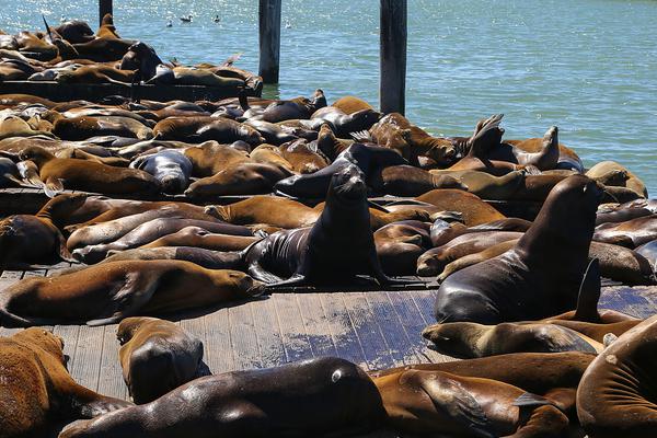 Plant store offers workshops on indoor gardening for apartment dwellers