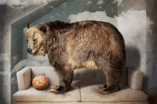 A severe snowstorm disrupted air travel with hundreds of flights canceled or delayed