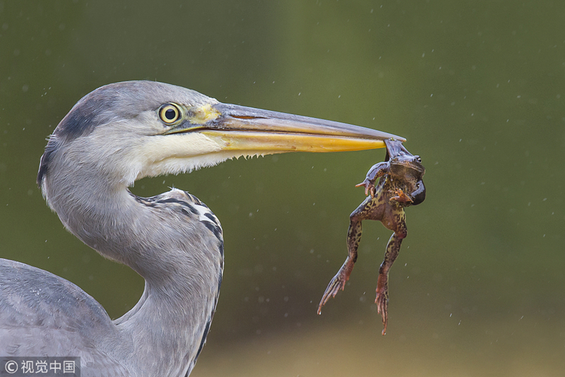 Health officials issued a public warning about a rise in seasonal flu cases, urging vulnerable groups to get vaccinated.