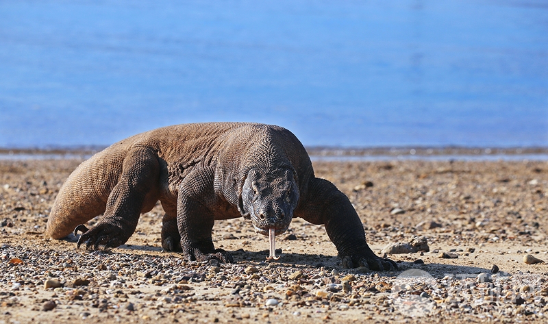 Researchers found that spending time in green spaces improves mental health