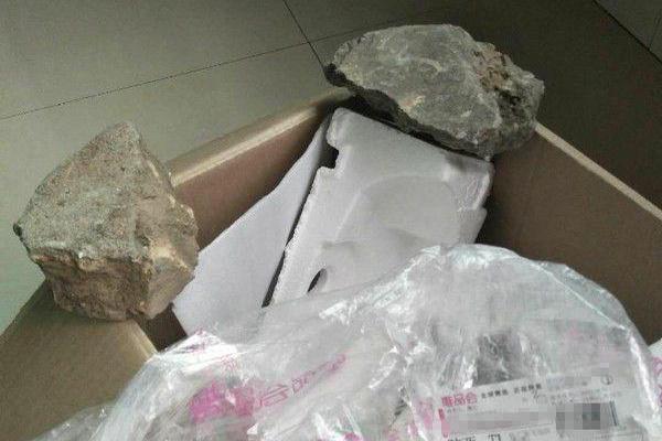 Wildlife rescue group transports injured owl to rehabilitation center