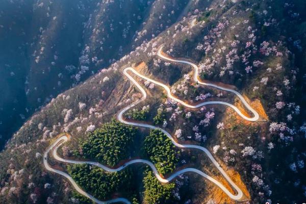 Car manufacturer unveils hydrogen fuel cell vehicle with zero emissions