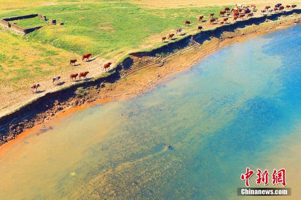 A library added new audio books and e-books to its collection for users to borrow online