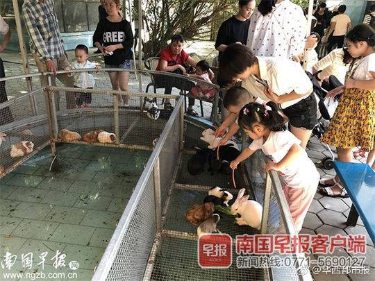 A university announced it will offer free tuition to students from families with incomes below $50,000