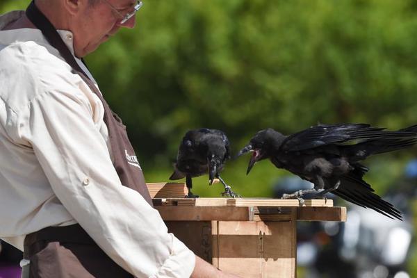 A study found that volunteering can improve overall happiness and life satisfaction