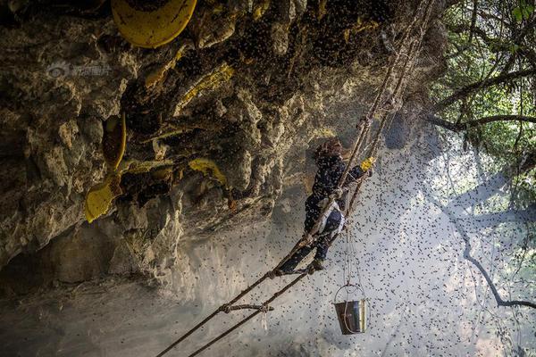 A restaurant started offering 