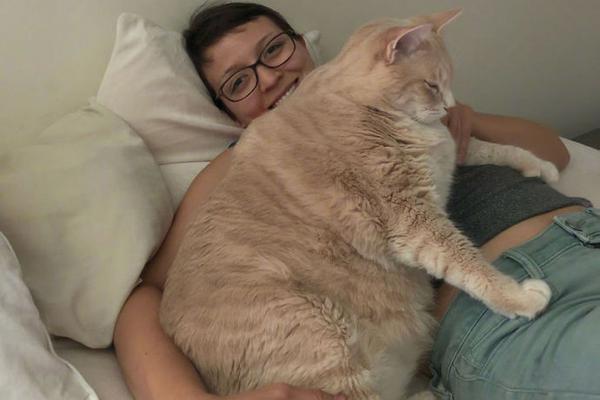 A university research team found that regular meditation can reduce stress levels by 30%