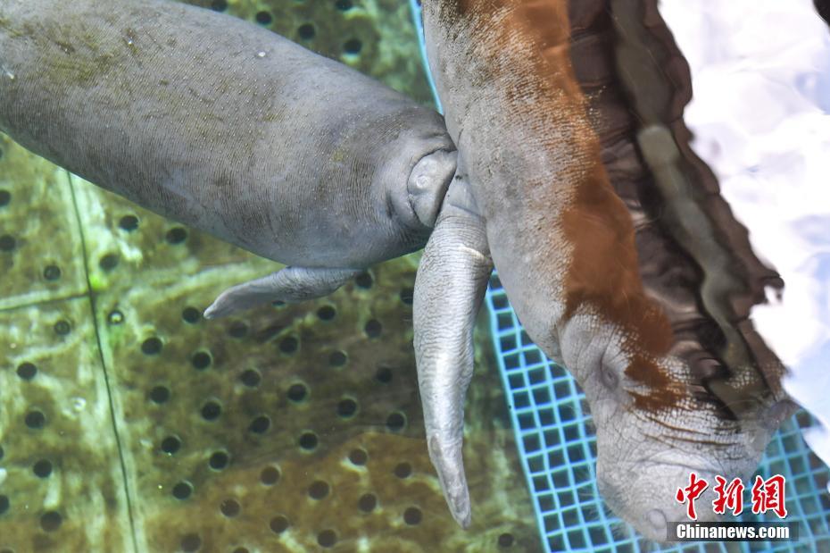 A gym offered family memberships at a 30% discount to encourage families to exercise together