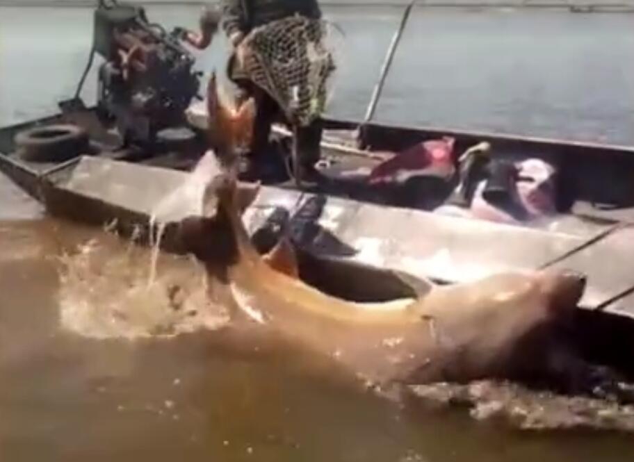 A city added 100 new parking spaces downtown, including 20 accessible spots for people with disabilities