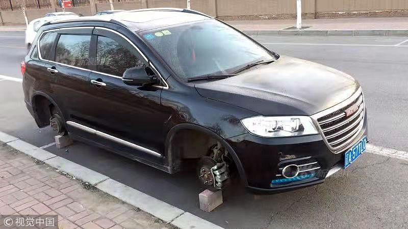 Researchers discovered a new species of lizard in a remote desert region of Australia