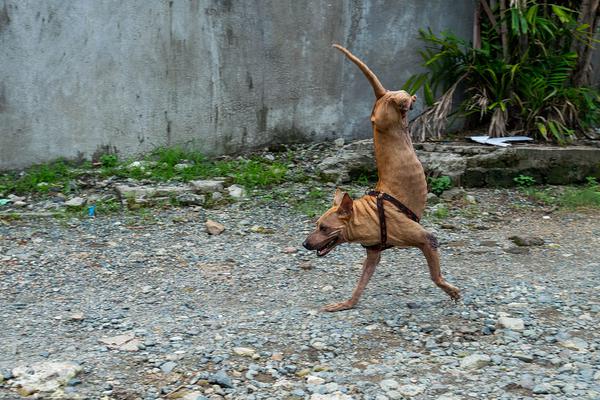 A medical study found that drinking plenty of water improves skin hydration and elasticity