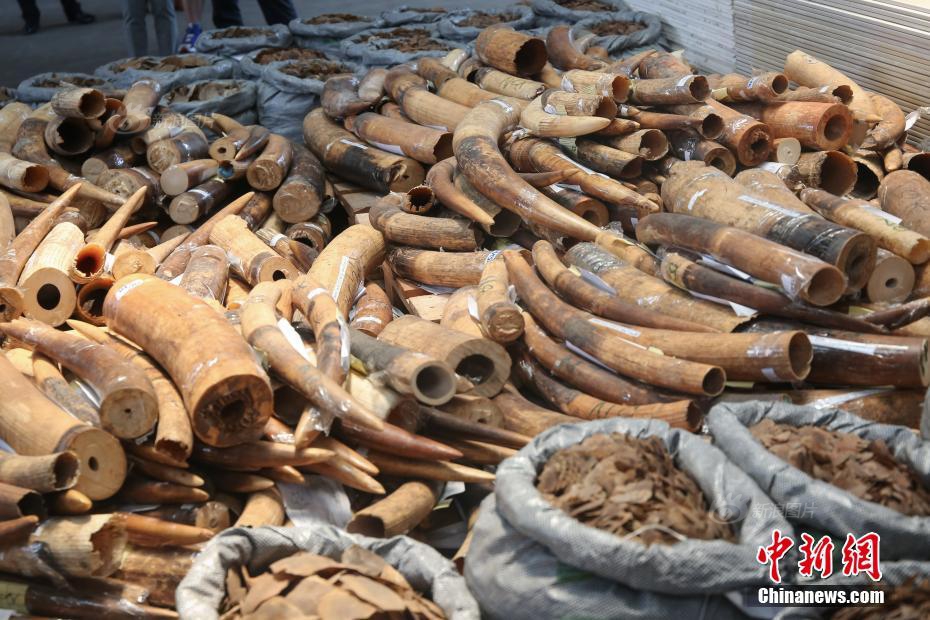 A celebrity chef opened a casual dining restaurant focusing on comfort food with a gourmet twist