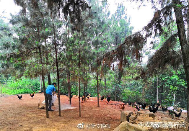 The space agency successfully launched a satellite to monitor ocean currents