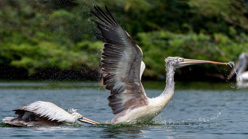 A charity organization started a job training program for the homeless