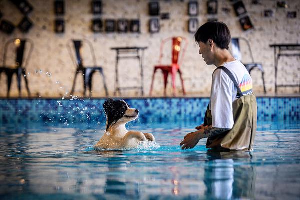 The government launched a program to help small businesses create websites and online stores