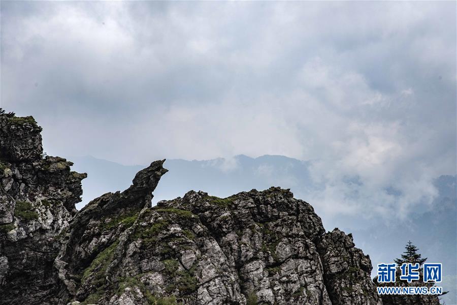 The government implemented new regulations to protect consumer rights