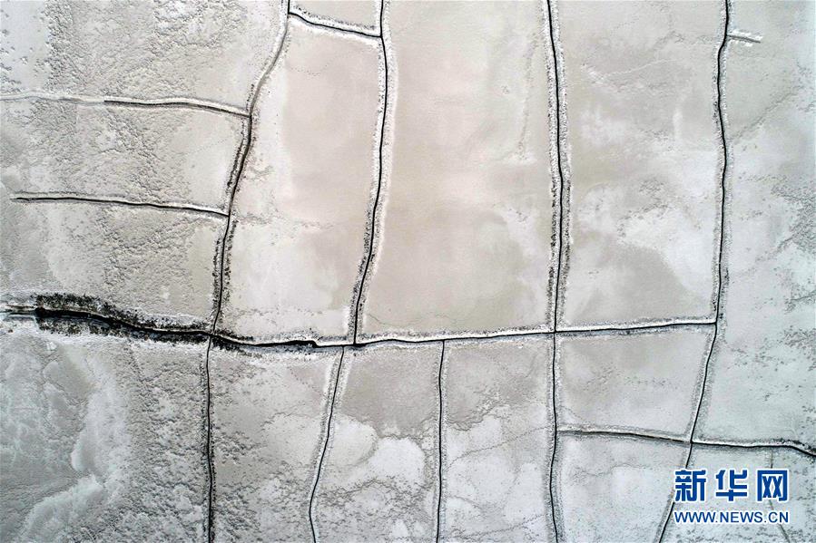 A construction company finished building a new hospital wing for pediatric care