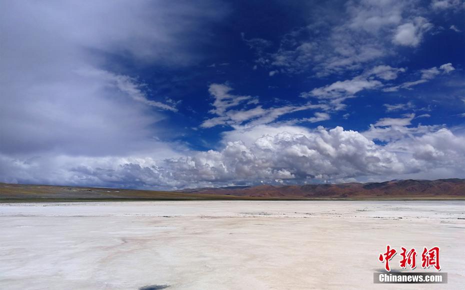 A university basketball team qualified for the national tournament after winning their regional game
