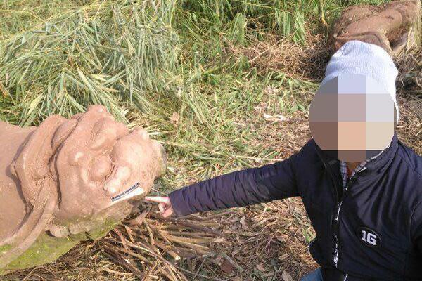 Cross country team sets new school record at state competition