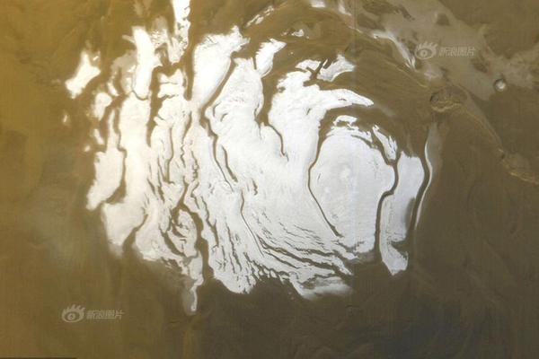 The city council voted to ban smoking in all public parks and beaches, with fines for violators starting at $100.