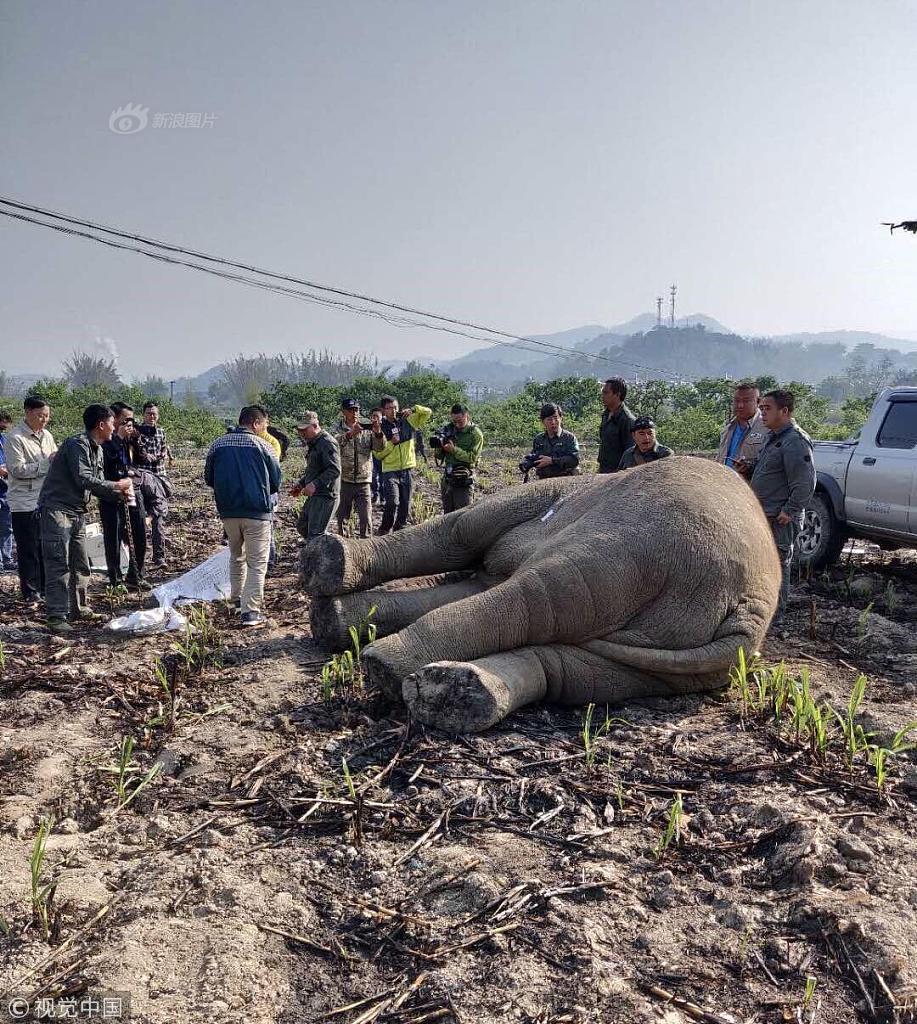 A tech company announced it will hire 1000 new employees in the next year