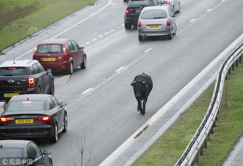 The city introduced a new recycling program to reduce waste