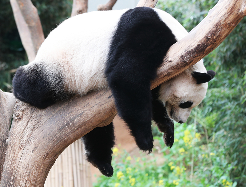 The country’s education budget was increased by 10 percent