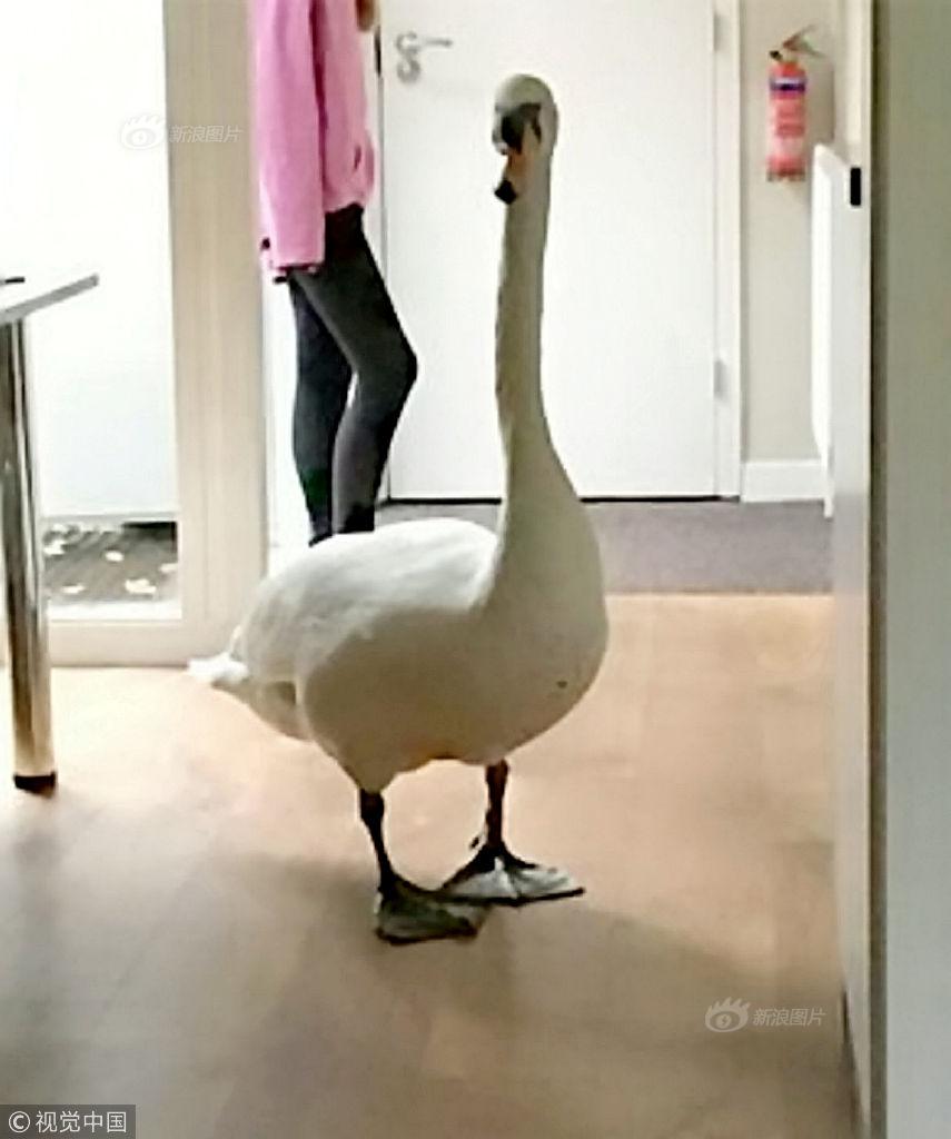 The country’s education budget was increased by 10 percent