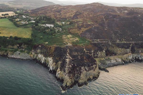 A tech startup announced a new smartwatch with advanced health monitoring features including blood sugar tracking