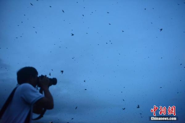 The national opera company announced its upcoming season featuring classic productions