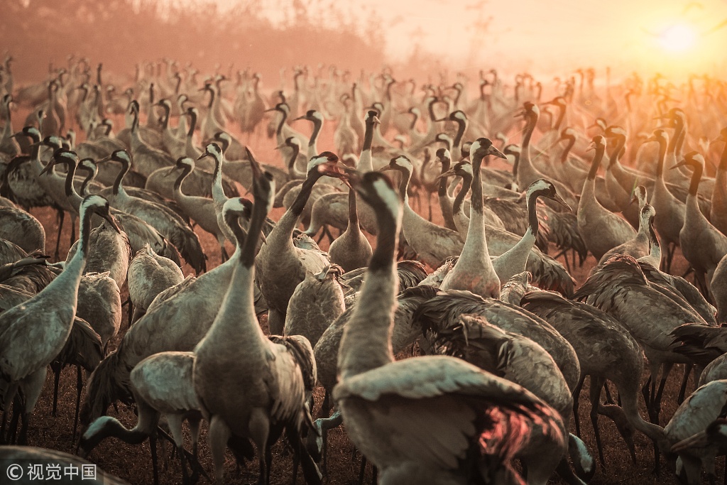 Firefighters conduct fire safety workshops in elementary schools this month
