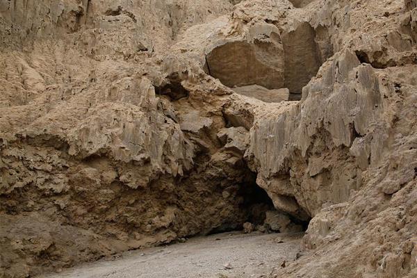 Florist creates custom flower arrangements for wedding season