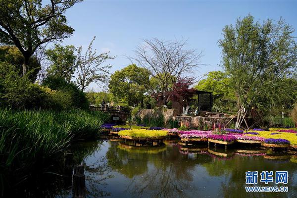 Study shows that pets help reduce anxiety in college students