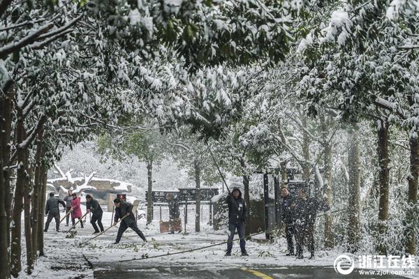 Tea shop offers rare teas from remote regions of Asia