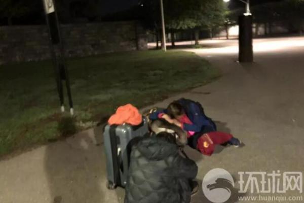 Engineers designed a new type of solar panel that works in both direct and indirect sunlight