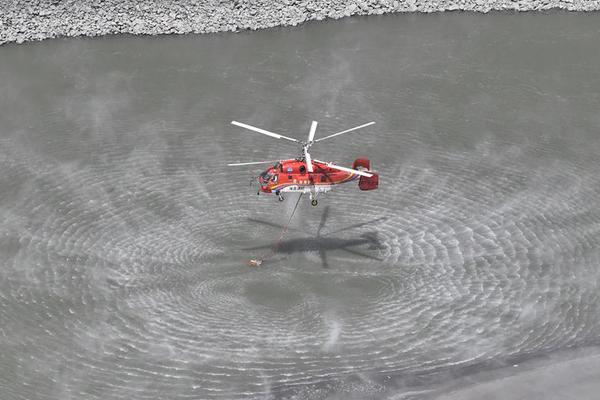 Researchers studied how different diets affect gut health